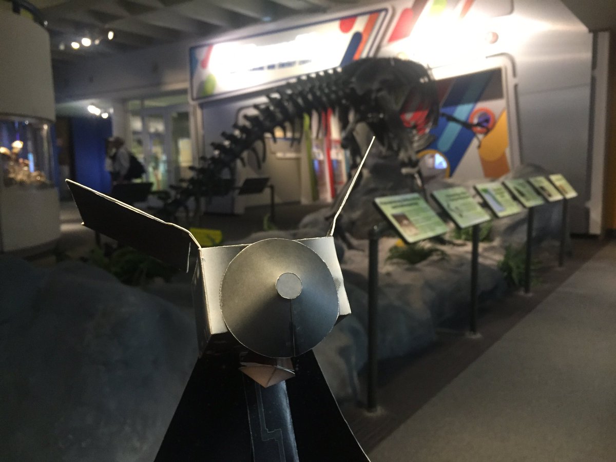 SamForHumans's tweet photo. My @OSIRISREx #paperspacecraft has some prehistoric company. https://t.co/OvuYsnpGNl