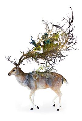 .<a href="/EJewettsculptur/">Ellen Jewett</a> Of Mysticism and Artillery featured in beautiful.bizarre 014 
Get yours > beautifulbizarre.net/shop