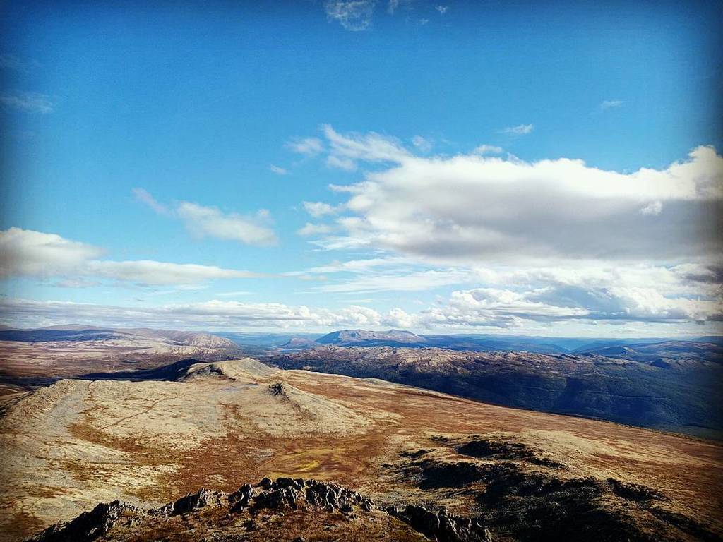 ClaudiaRittig's tweet photo. Aussicht vom #formokampen #1428moh #rondane #rondanenasjonalpark https://t.co/LKeIsCrUgi https://t.co/rq9fv3bw0Y