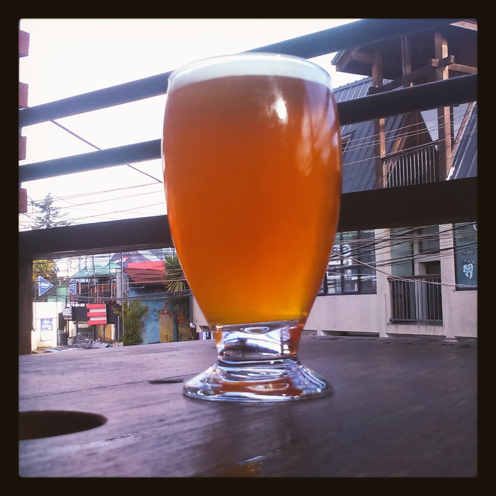 aguaslibresbeer's tweet photo. Llego Cerveza Aguas Libres a El Arbol, comenzando con una avanzada de IPA https://t.co/JqUIfK27gv