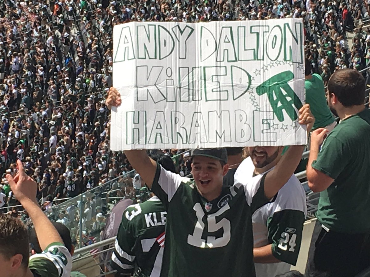 NickKlopsis's tweet photo. Spotted in the stands at the #Jets game @barstoolsports https://t.co/tEGq8m5ivp
