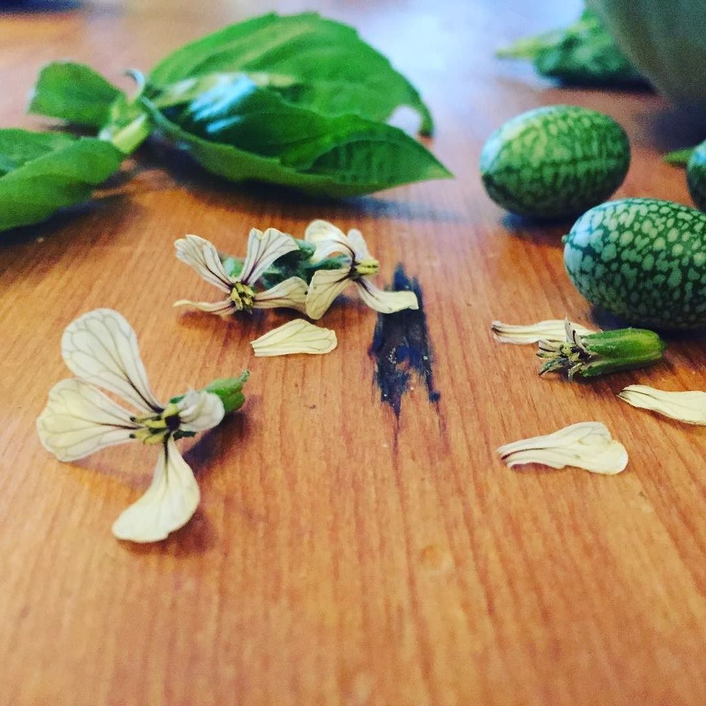 Arugula flowers add incredible flavor to a dish and they are just simply beautiful... #edi… ift.tt/2cPbUgr