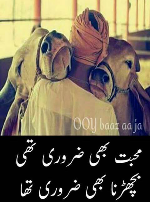 Buneray's tweet photo. https://t.co/KkquEiXwqV