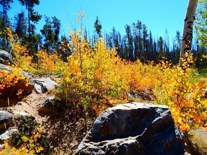 PSmola's tweet photo. Pic Courtesy of my mile high sisters. #Fall already! Where did #summer go?! #fallcolors2016 #mhs https://t.co/yAdviZ7LLU