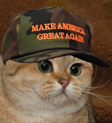 BizLifePHL's tweet photo. @realDonaldTrump #TrumpPence16 will #MakeAmericaSafeForPetsAgain @PetsForTrump #AmericaFirst #EndHomelessness #tcot https://t.co/gzlWkyml9v