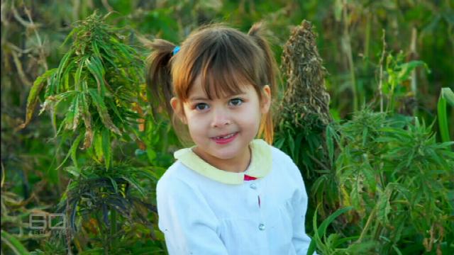 THEMMEXCHANGE's tweet photo. Grandparents donate millions to medicinal #cannabis research 

https://t.co/yo9qZVKByt #MME #Epilepsy #seizure https://t.co/CaUA0N9MDh