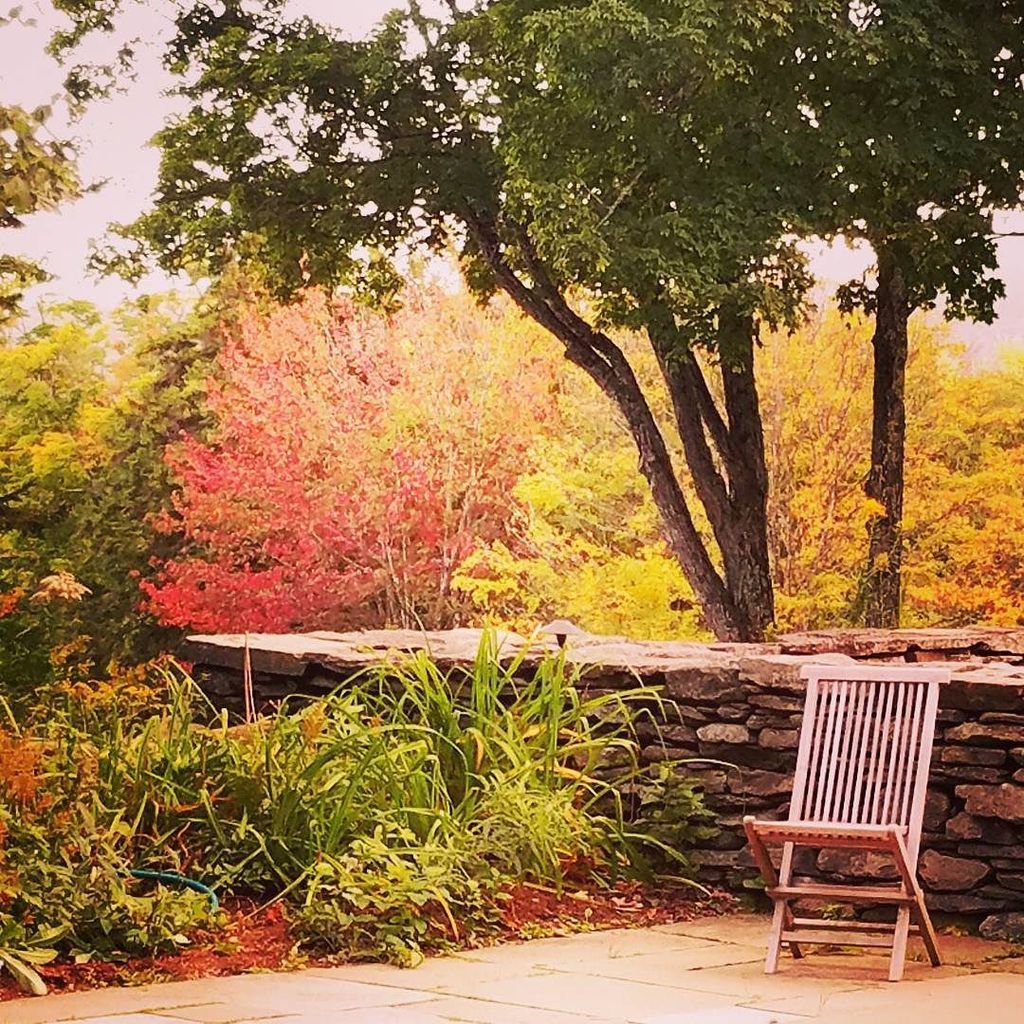 It's 70 degrees and the trees are turning. Are you booking your fall getaway with us? 
#ed… ift.tt/2cwn497