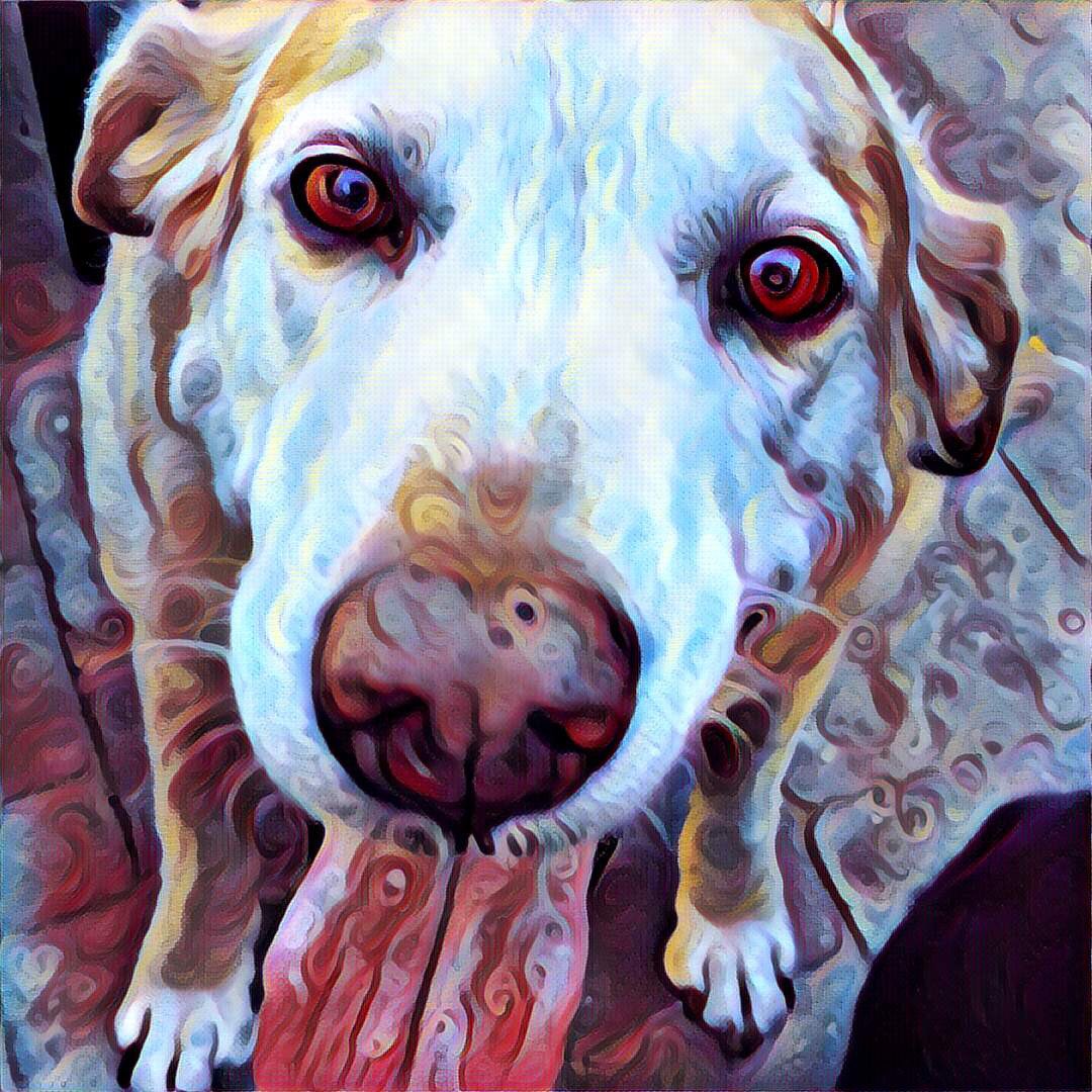 It's hard to say cheese with your tongue wagging.