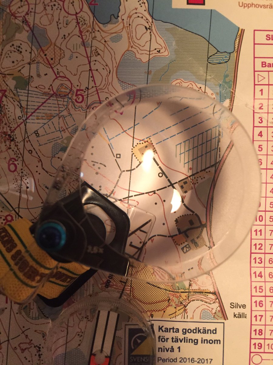nick_simonin's tweet photo. Maybe now after nearly 10 years in sweden I will see find a kolbotten when I'm orienteering. https://t.co/JoAiiq9MAq