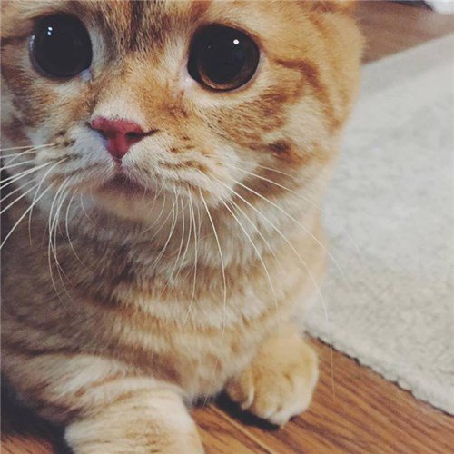 Like! if you are waiting for Surprise,
RT!  if you desperately looking for surprise and soon wish to happen :)
#fast