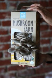 leslielawton's tweet photo. New Crop of Companies Reaping Profits From Wasted Food https://t.co/sqvRqKhlZt #impinv #startups #socent https://t.co/SaH7wwjLPx