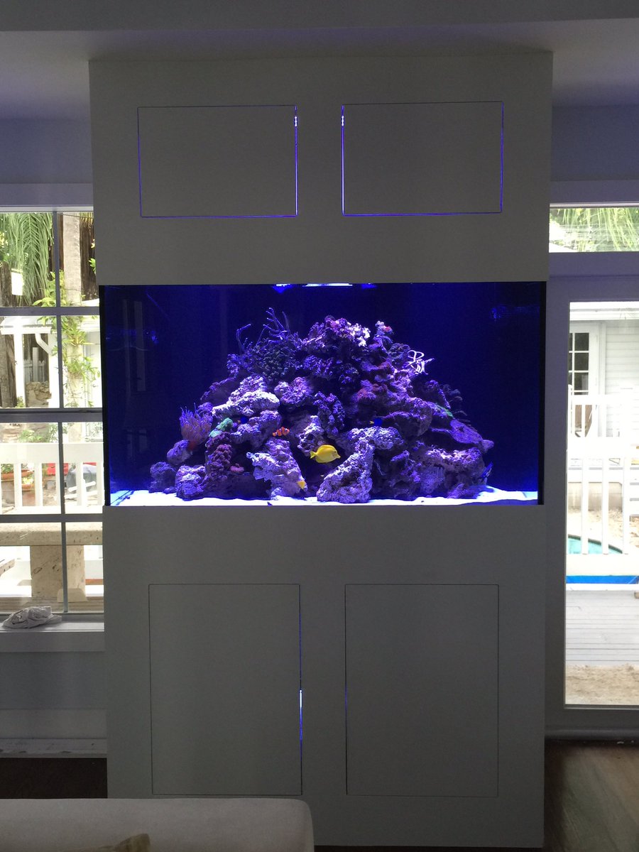 androaquatech's tweet image. The coconut grove Caribbean reef tank we set up.
