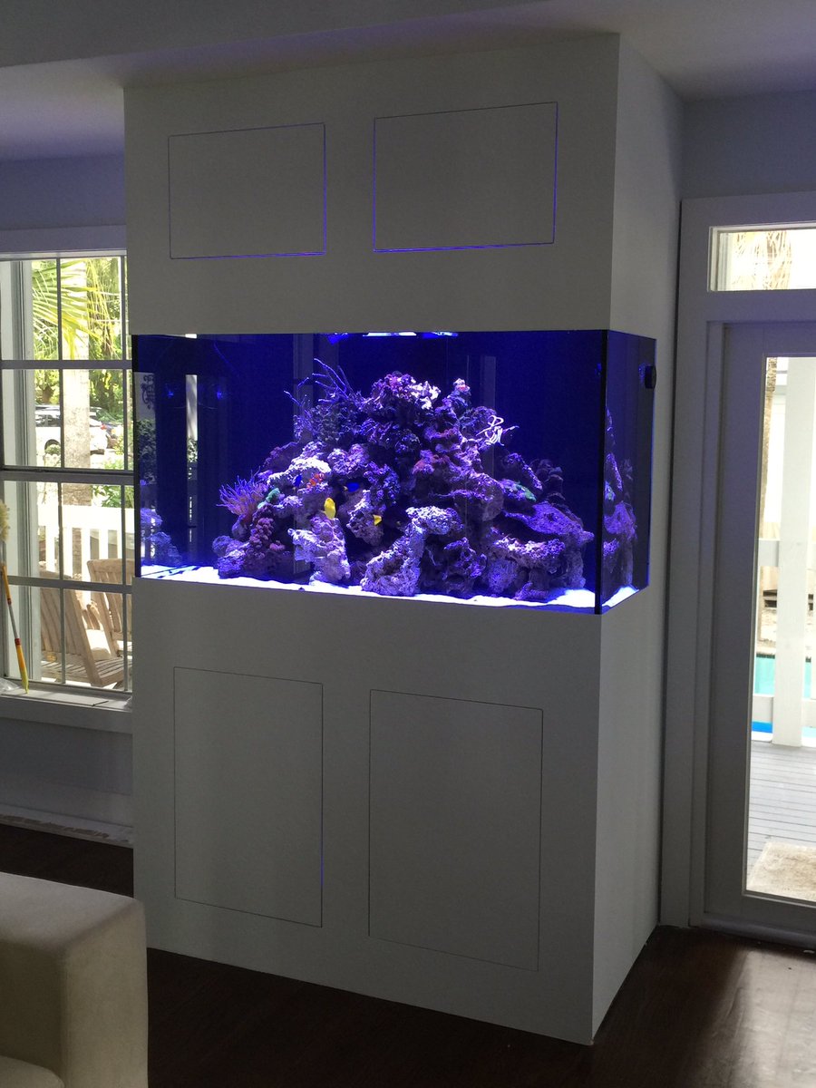 androaquatech's tweet image. The coconut grove Caribbean reef tank we set up.