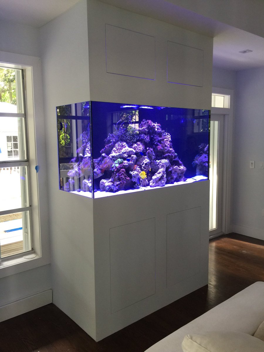 androaquatech's tweet image. From this to this.😵