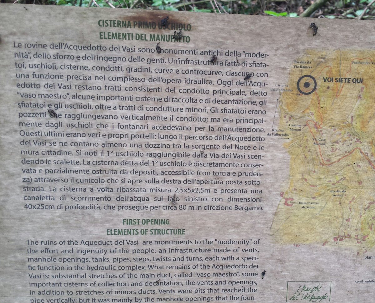 il_bosco_acm's tweet photo. Architettura in Via dei Vasi: la vegetazione crea sculture naturali tra gli antichi resti dell'Acquedotto.
#Bergamo https://t.co/SzFzFCE1OV
