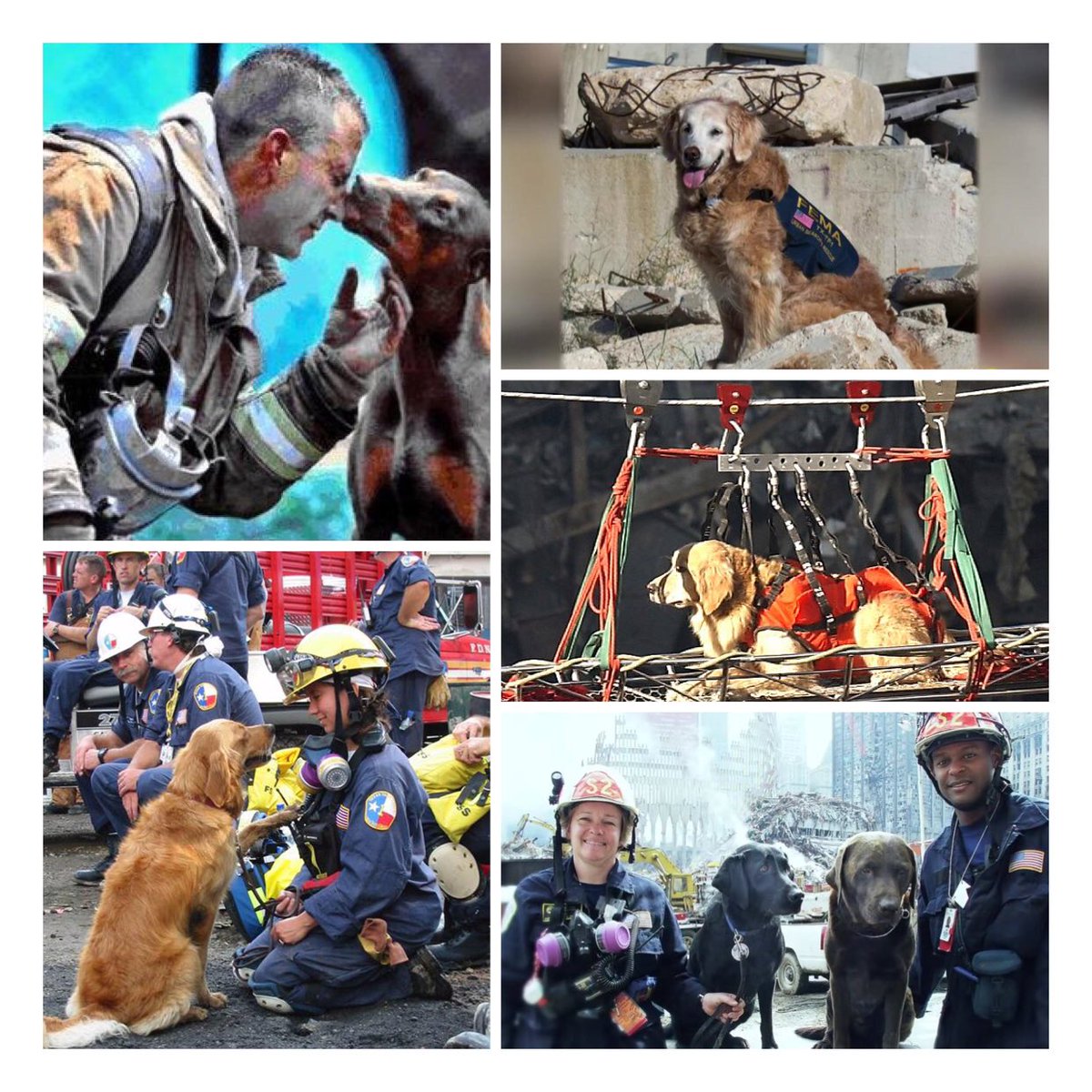 Remembering the Heroes of 9/11: The Unseen Courage of Search and Rescue ...
