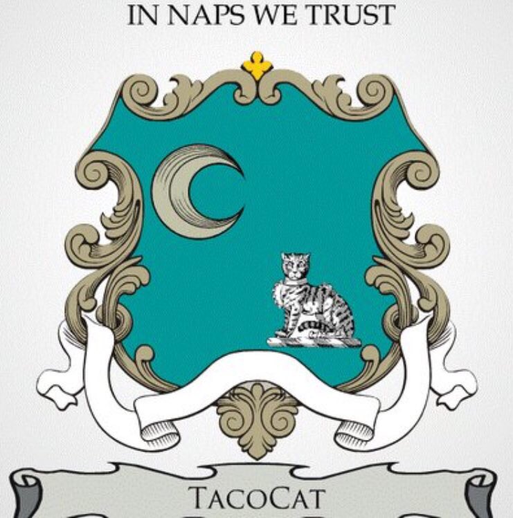 IOMMHQ's tweet photo. .@TacoCatHouse has released their coat of arms, and gained a Twitter account! #tacocathouse #tacocat https://t.co/drYF2KmN71