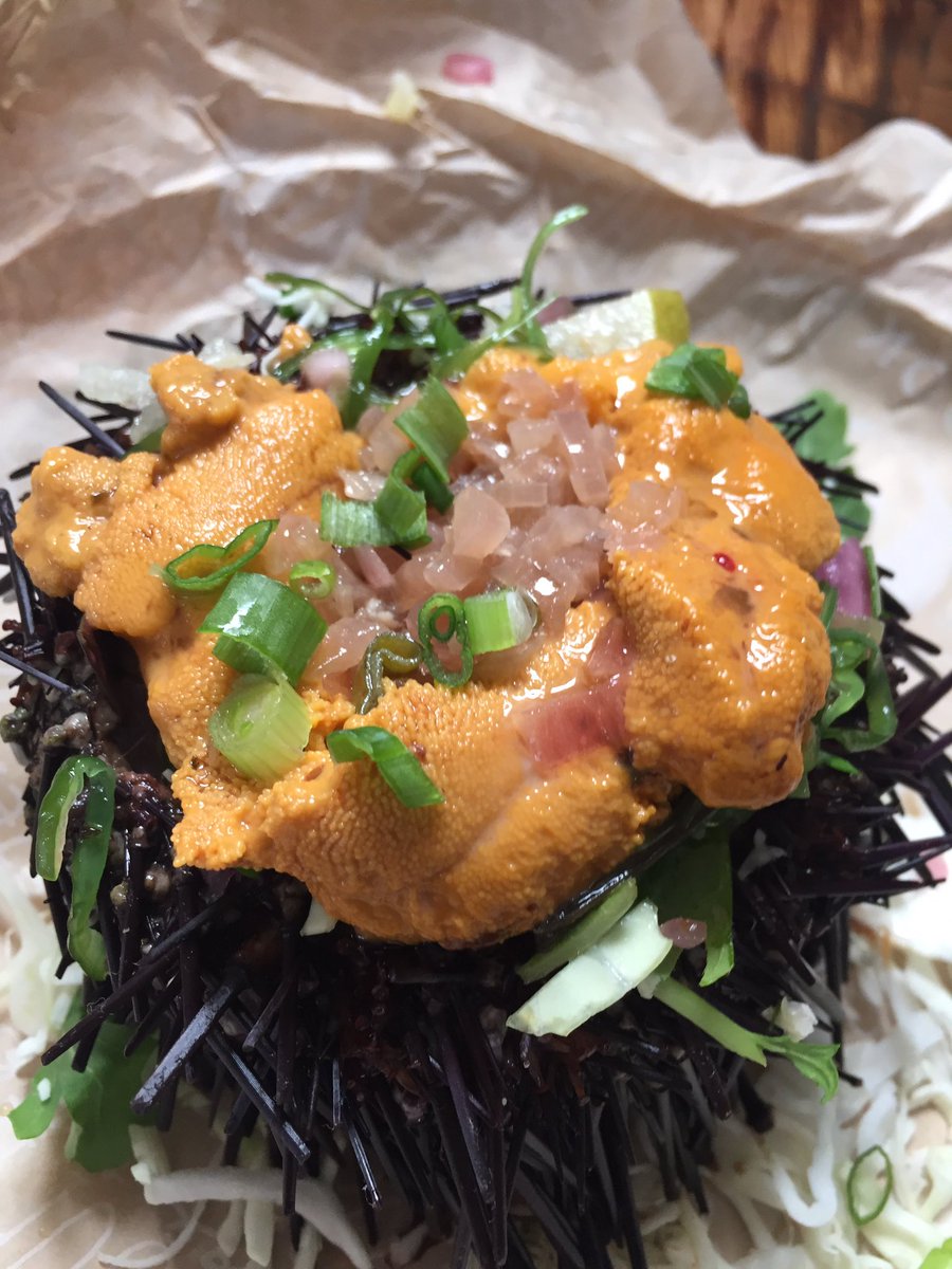 Oh goodness deliciousness at The Nook in <a href="/LamaDogTapRoom/">Lama Dog Tap Room</a> . Uni special. Order it. You're welcome.