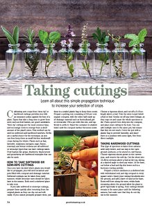 GYOmag's tweet image. If you'd like to propagate your plants, read our page on how to take cuttings - perfect for herbs!