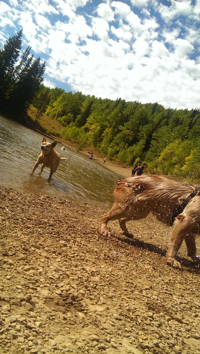 xmasberry's tweet photo. A little time at the lake https://t.co/437VPmkIXO