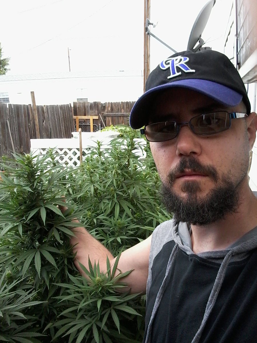 SeanMccstoned's tweet photo. #Weed #Pot #Cannabis #Colorado #GrowersMatter #Hemp #Bong #Joint #Dab #FourTwenty #Ganja #Mota #blaze #MMJ2016 https://t.co/Ohff3Re6rj