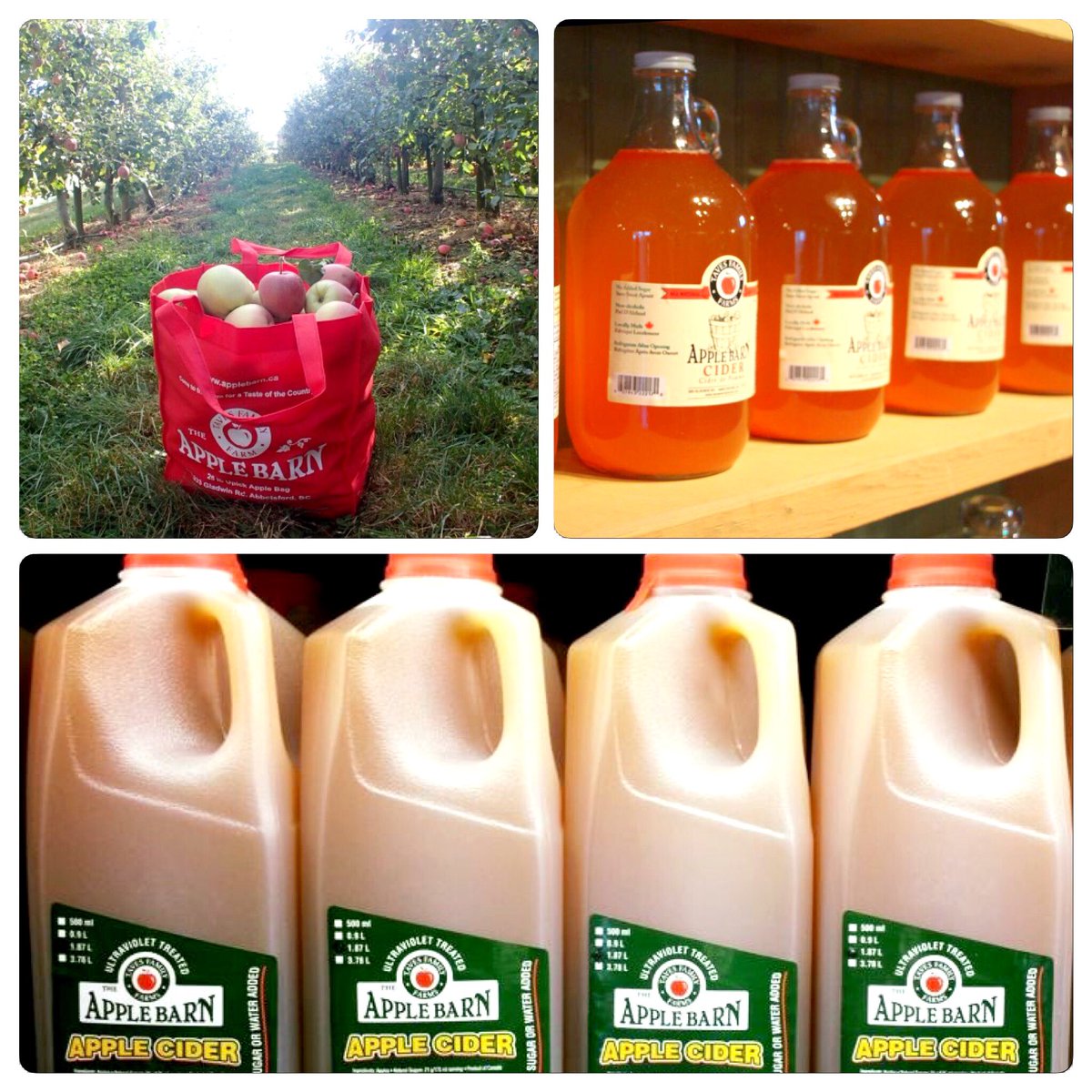 WeHeartLocalBC's tweet photo. Yum! MT @TavesFarms: Apple cider is ready! Did you know we make it cold-pressed? #coldpressedjuice #nonpasteurized https://t.co/hNcWdz0YW5