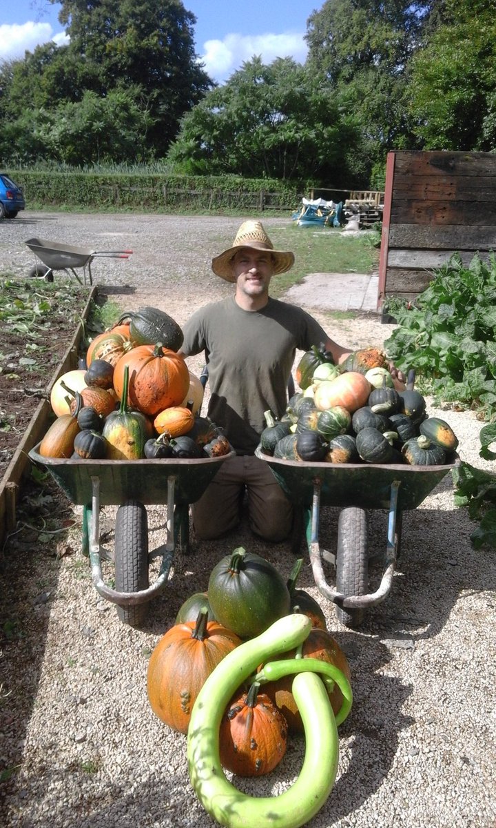 Mandarines tweet media