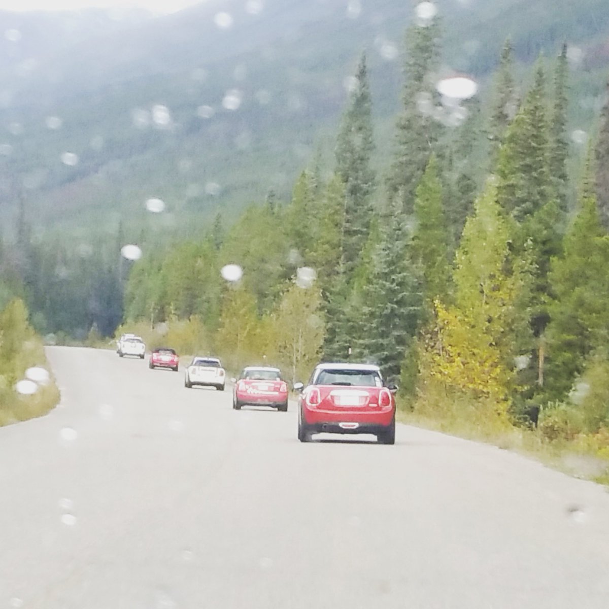 rushhead1's tweet image. Some mini fun on the weekend Miette Hot Springs Jasper #mini #minicanada #miniuk