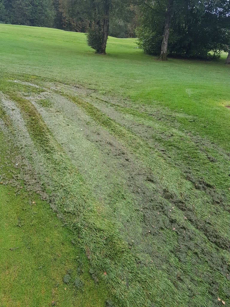 rickyyyyyyyyy!!!! tweet media