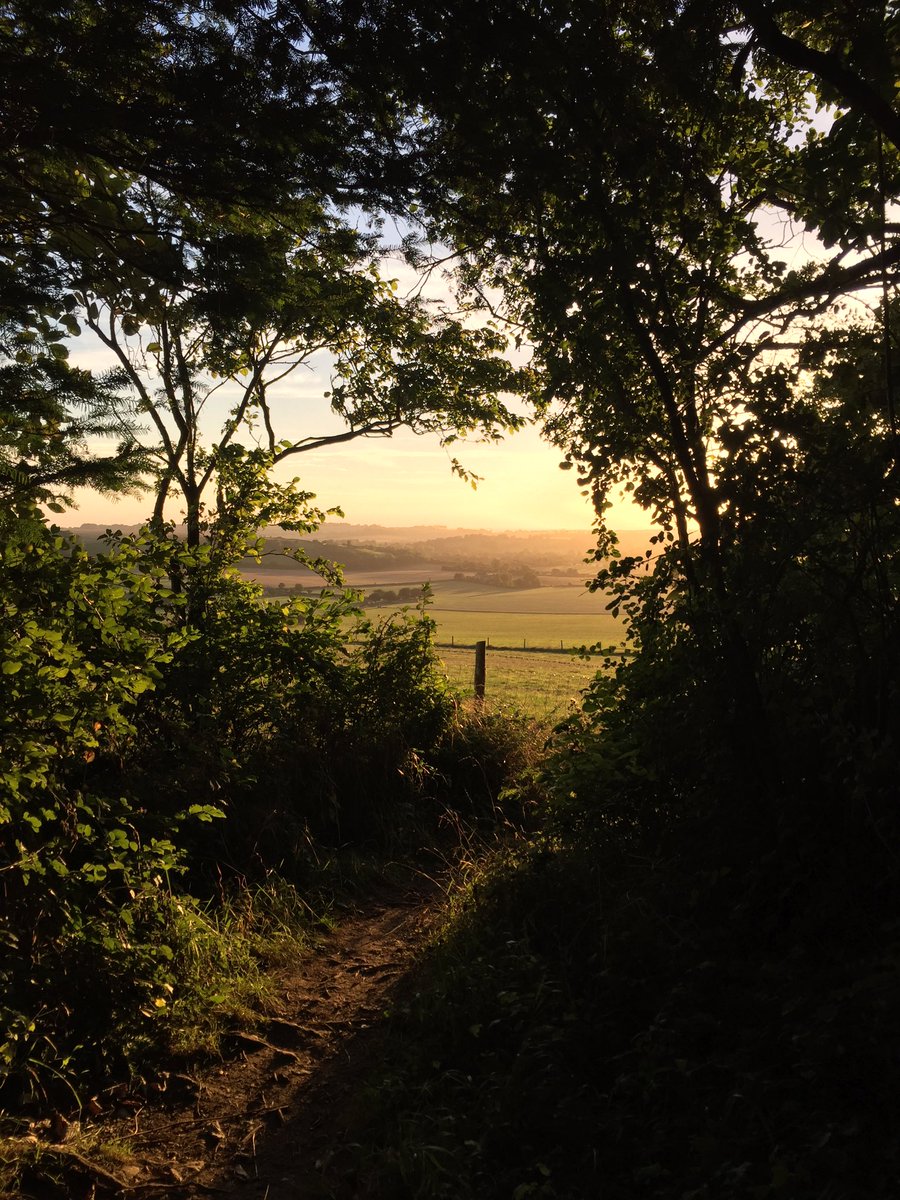drbertramGP's tweet image. Sunset on Old Winchester Hill...#sundaylongrun
