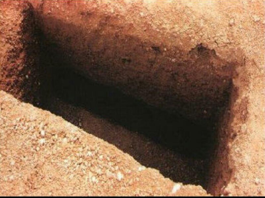 alhmathr's tweet photo. مخنوگين احنه نگول
على الدنيا الوسيعه
شلون لو ننحط بگبر https://t.co/kwcW1kdV3j
