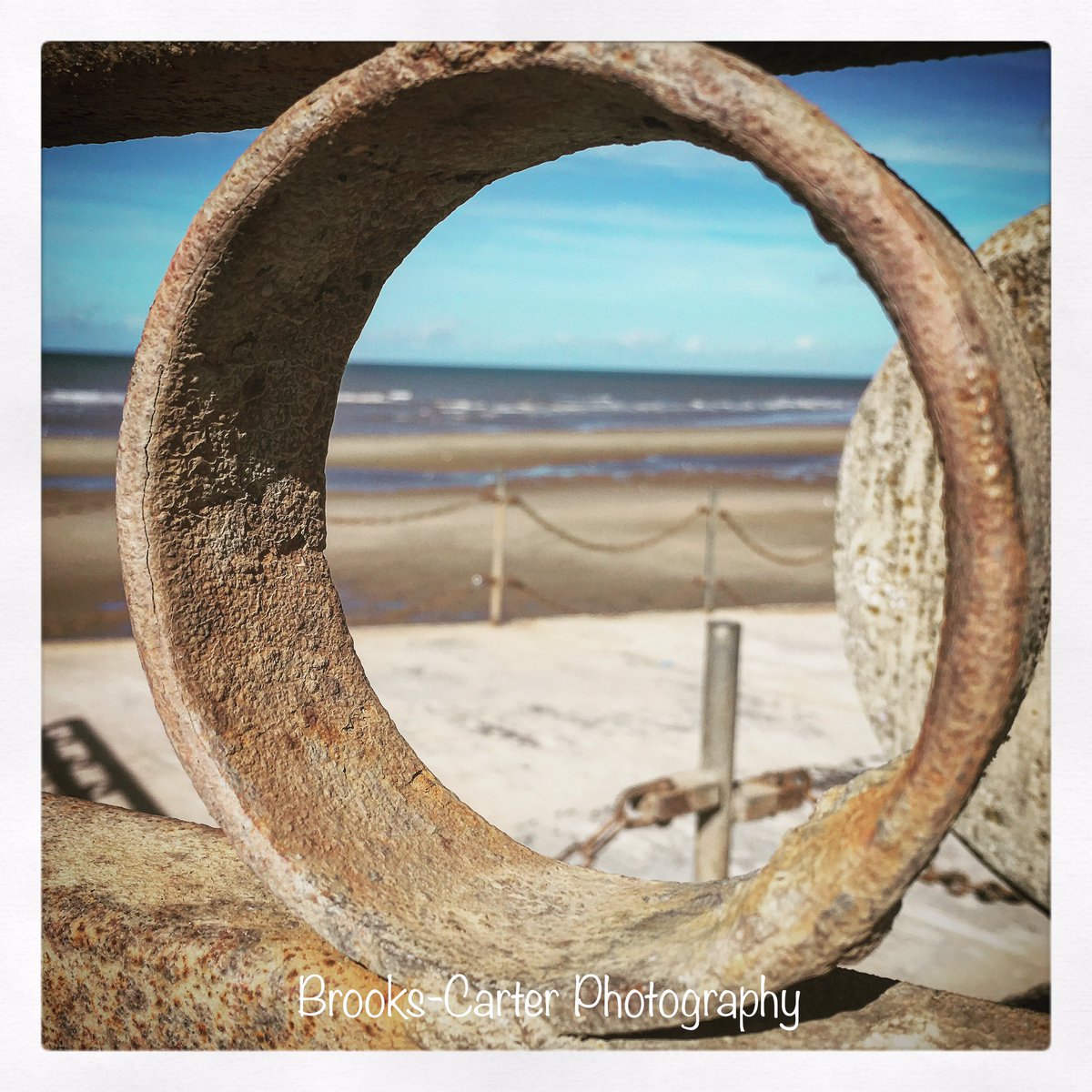 Brooks-Carter Photography tweet media