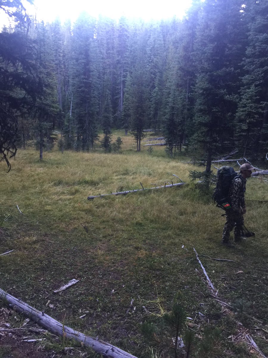 _OffTheGrid's tweet photo. Hunted some amazing country... https://t.co/HPZvElbbdk