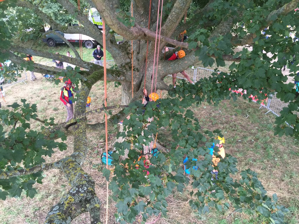 jrtrenchard's tweet photo. Tree climbing this weekend @AlresfordShow with @arborventure https://t.co/SkOMx7C5Uw