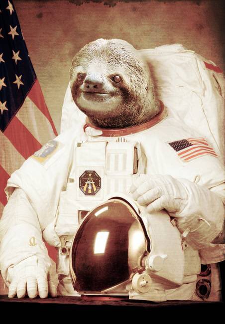 originallyrena's tweet photo. @KrisHolt1 @nodamselndstrss @IOMMHQ Cats may pretend to be tacos and sloths are totally astronauts. https://t.co/hp9EmuckTt