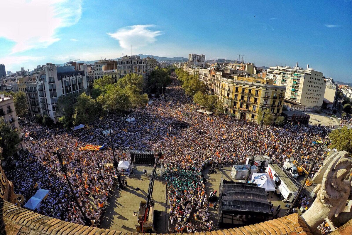 MdRxI's tweet photo. Foto del nostre #tram39 de @sergicosta
A veure si ens trobem😜 https://t.co/EVuXo74n7g