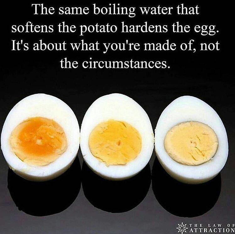 tailopez's tweet photo. https://t.co/TbVmDvdINn