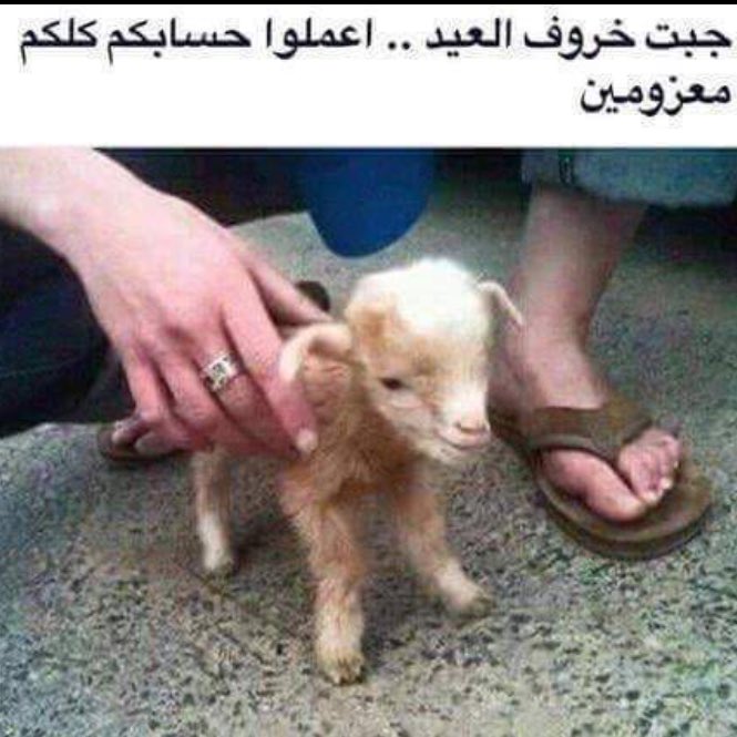 vip602015's tweet image. ✨🌷💫😁