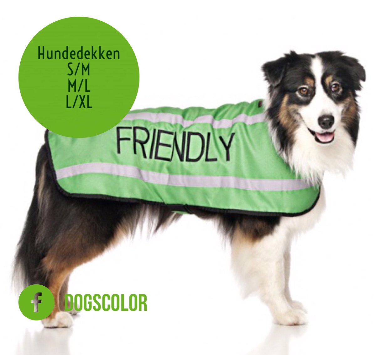 Dogscolor's tweet image. Pris fra 179,- @BoxerKiro @Haukeda @DahlhoffTheresa #friendly #halsbånd #leiebånd #kobbel #hund #safedog #norge #dog