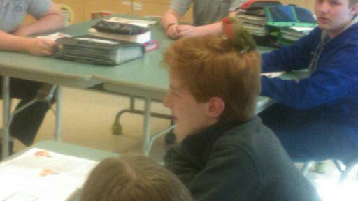 StPaul5thGrade tweet picture