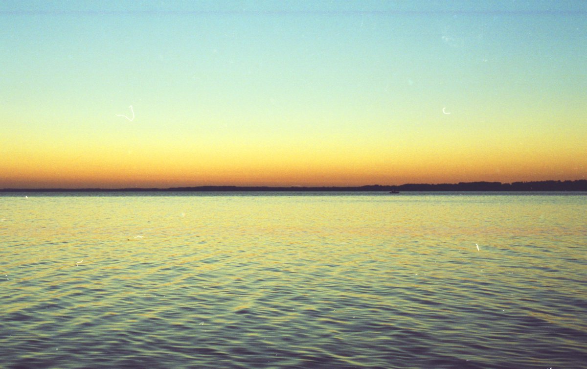 WebberBenjamin's tweet image. Some of my recent 35mm photos.