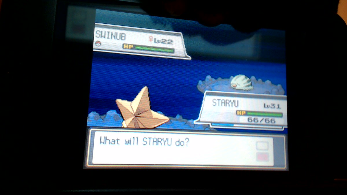 MosquitoSneak's tweet photo. Shiny Swinub! 6588 REs! @JCBLPs @SpaceDuck90 @gmw1994_ @Minuettee @rummtings @Sami_Melody @tsukune_713 @RSilentNinja https://t.co/30BrFy2c98