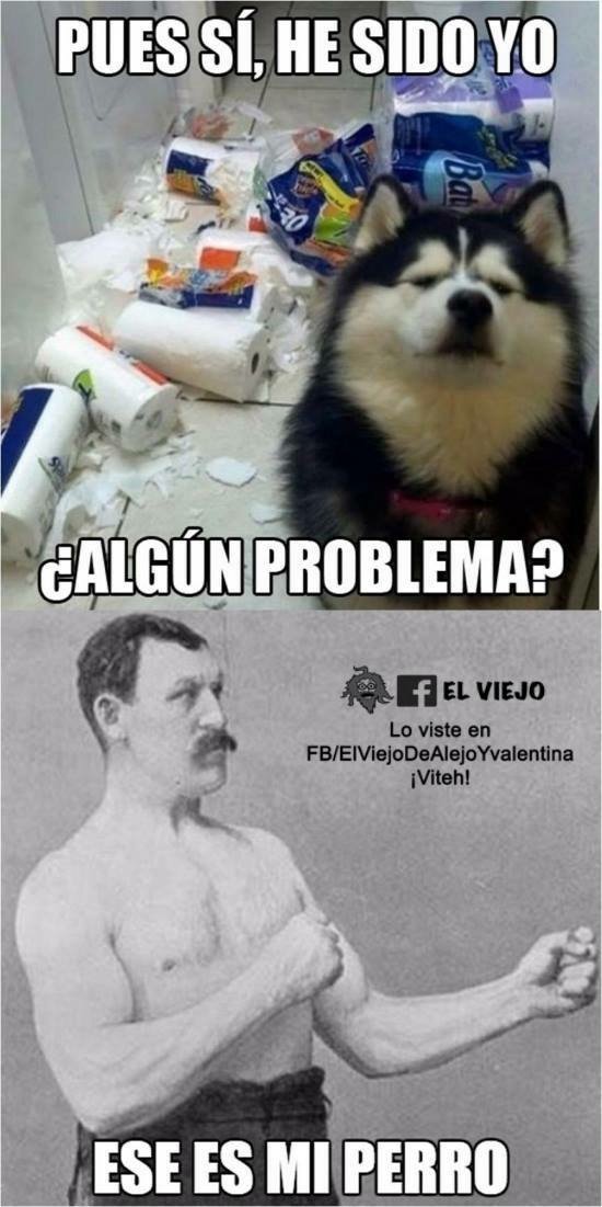ElViejoReload's tweet photo. #ThugLife #Viteh #VidaRuda #ElViejo #AlejoYvalentina https://t.co/C9Eq2ofwXv