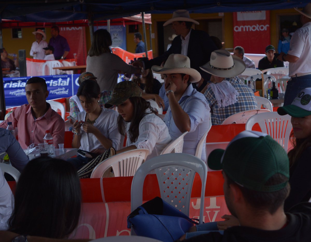 asdecaldas tweet media