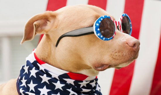 OPHS2017's tweet photo. USA DAY TOMORROW. LETS SEE THAT RED, WHITE, &amp; BLUE 🇺🇸 https://t.co/of7S6aZqQH