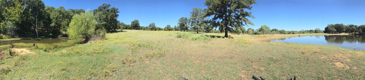Shoot_4_PAR's tweet photo. #nofilterneeded #southernoklahoma #lovetheoutdoors https://t.co/LiVwlOHzEB