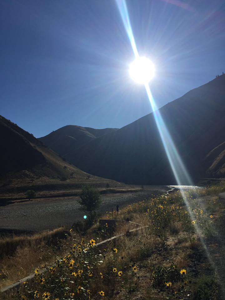 RigginsRun's tweet image. Great Run in the Sun! #rigginssalmonrun2016 #runner #halfmarathon #kasha #riggins