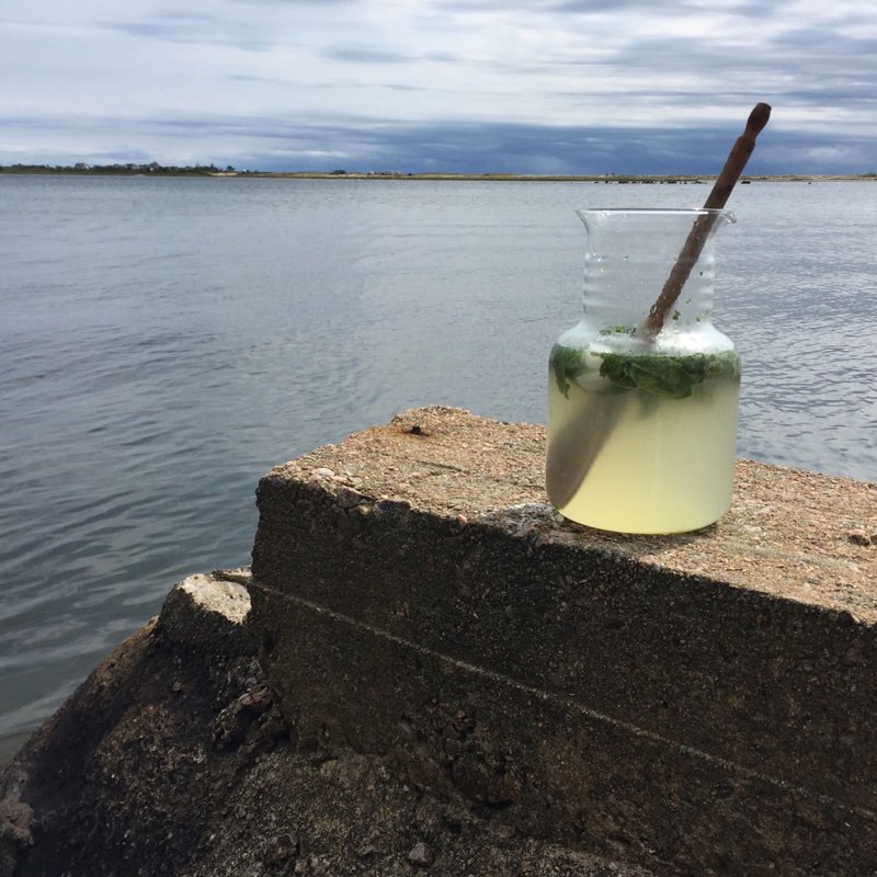 cocktailers's tweet photo. Pitcher of mojitos ready for a ride to the beach. Made w/ @privateerrum Silver Reserve, which is highly recommended! https://t.co/XBdXnrH6aD