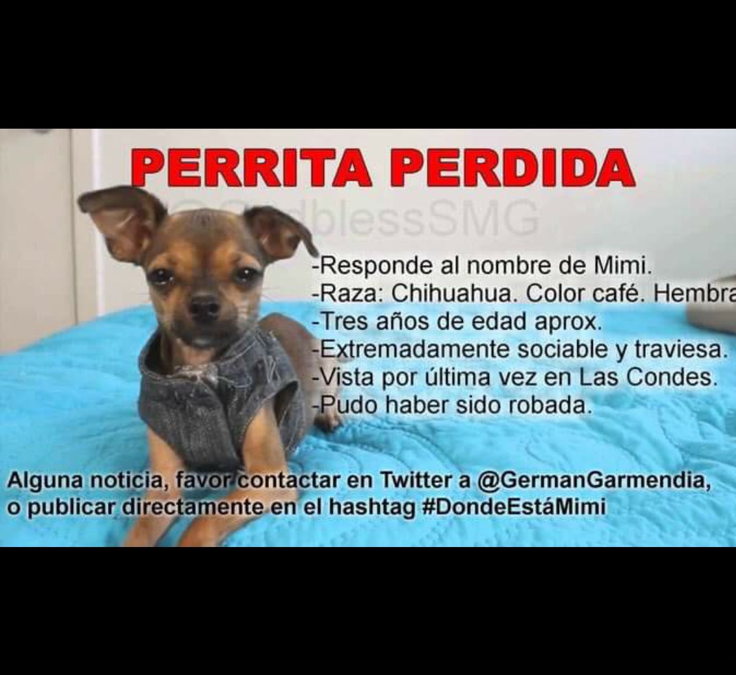 NicoleROMG13's tweet photo. @s0ymia ingrid mira soy de chile y está perrita está perdida
Por favor se que tú puedes ayudar con un simple RT https://t.co/ROhoui5k1B