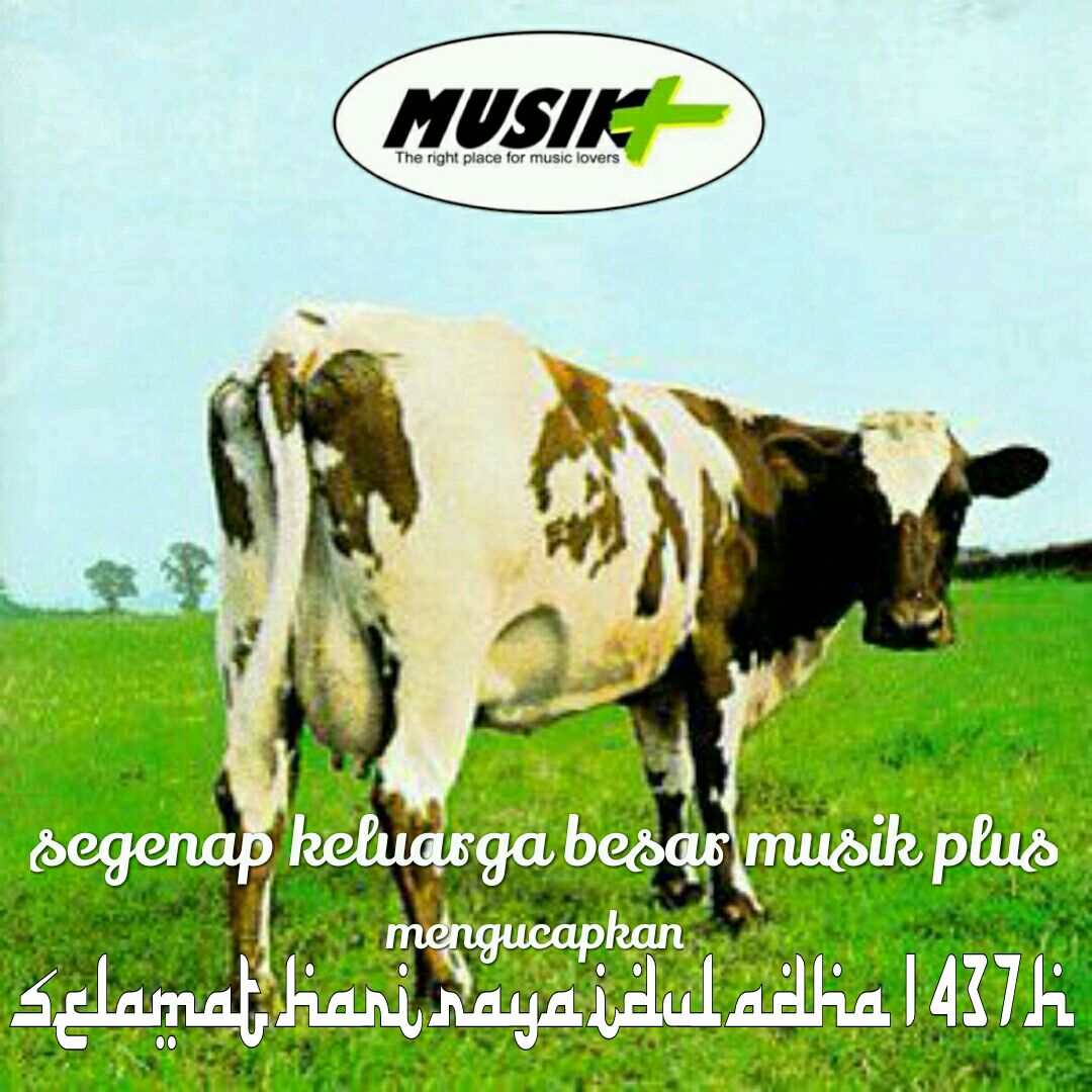 Selamat hari raya Idul Adha 1437 H teman - teman Islam yang merayakannya.🙏